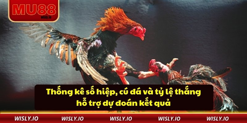 Đá Gà C1 - Sân Chơi Mang Đến Trải Nghiệm Kịch Tính Thống kê số hiệp, cú đá và tỷ lệ thắng hỗ trợ dự đoán kết quả
